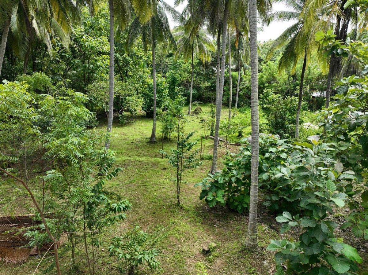 Coconut Tree House Hotell Udawalawe Exteriör bild