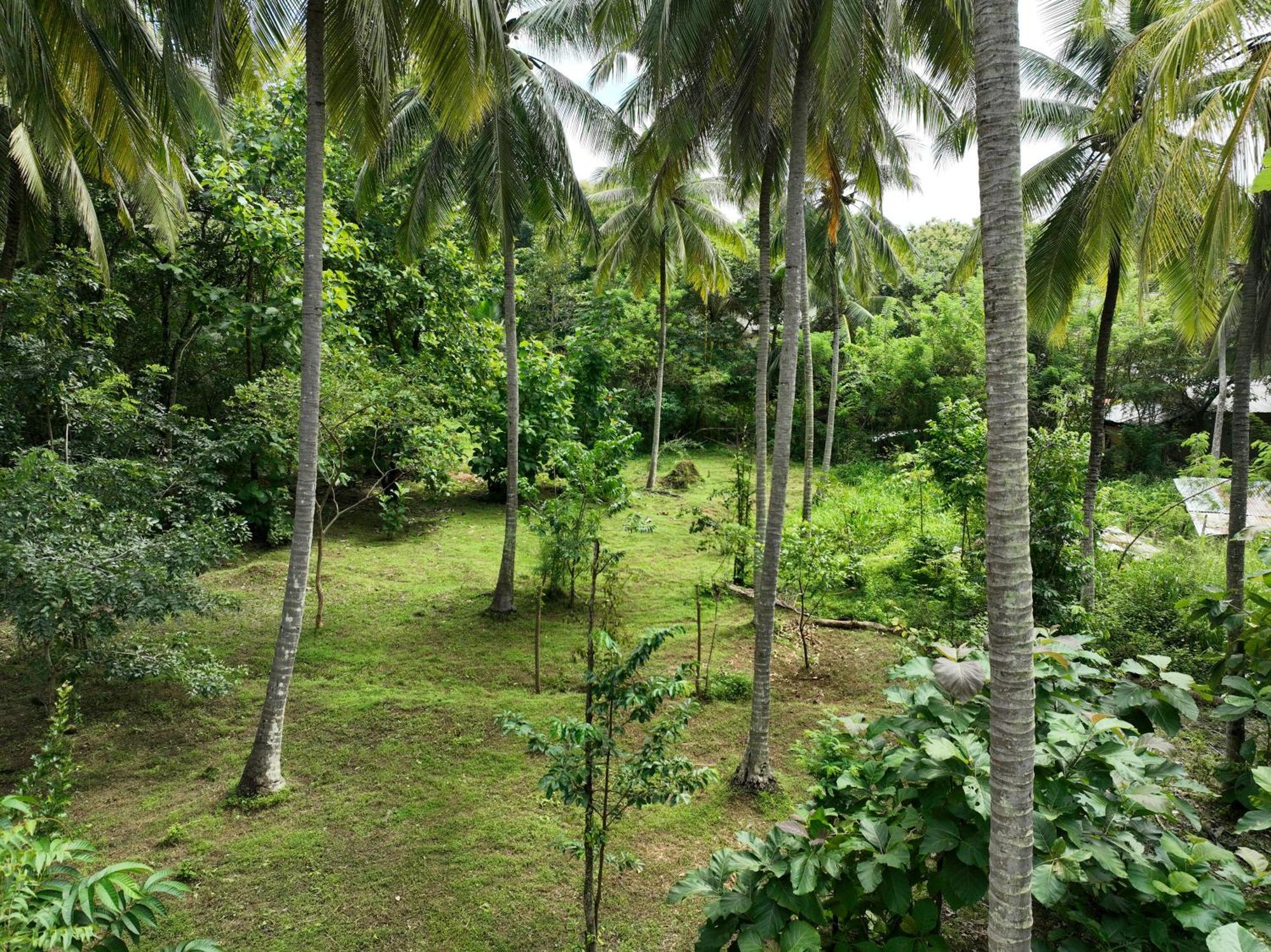 Coconut Tree House Hotell Udawalawe Exteriör bild