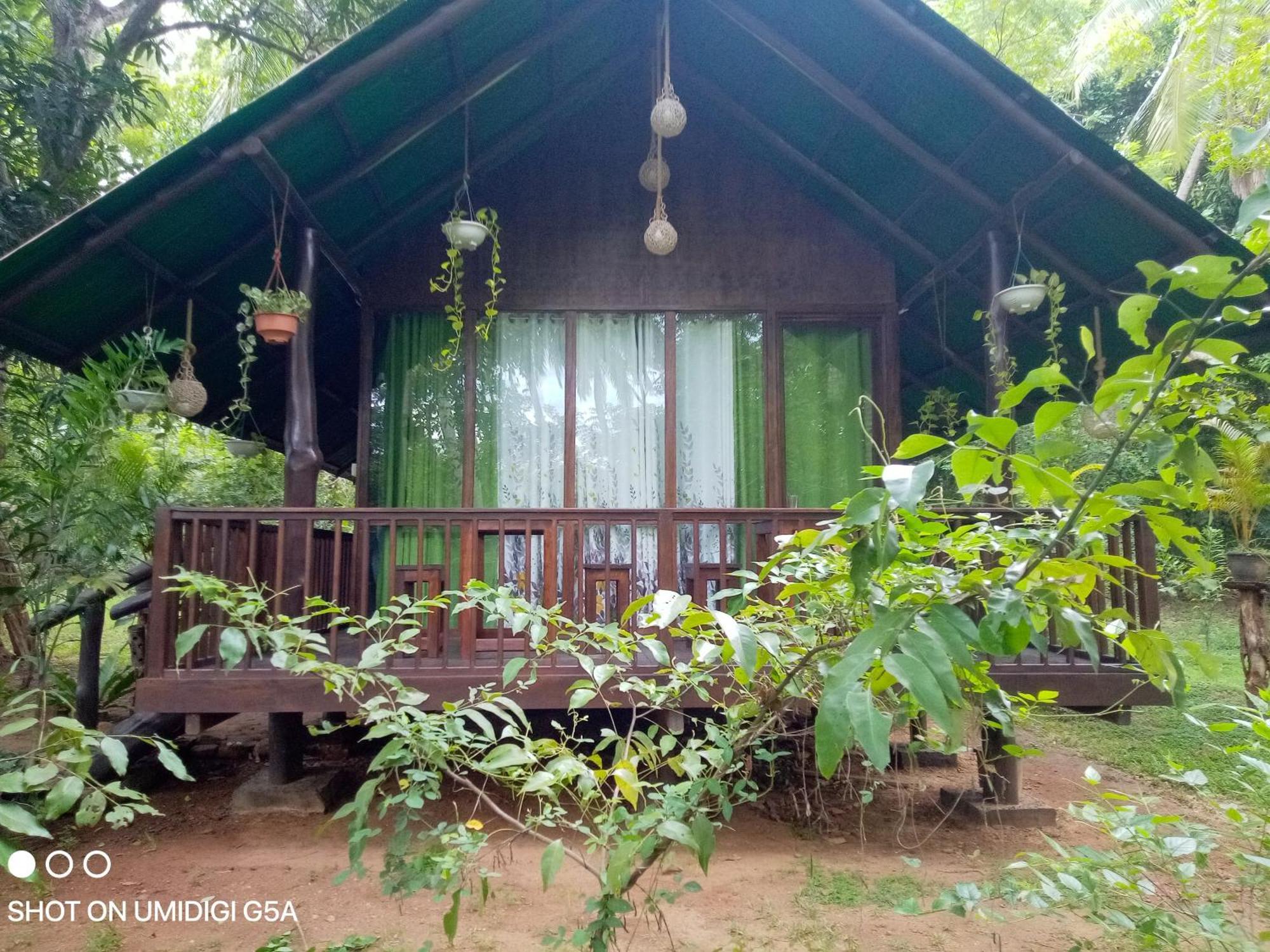 Coconut Tree House Hotell Udawalawe Exteriör bild