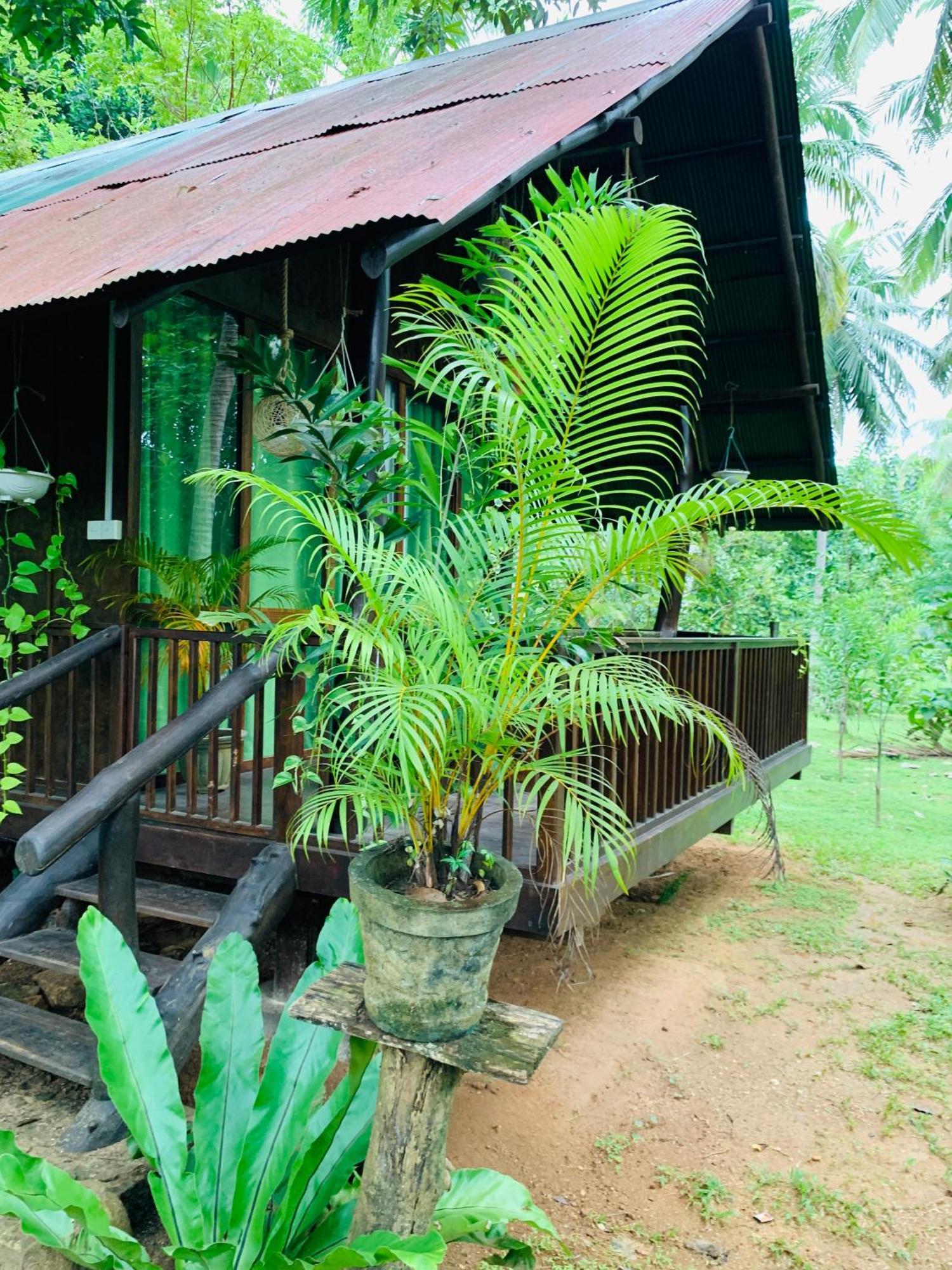 Coconut Tree House Hotell Udawalawe Exteriör bild