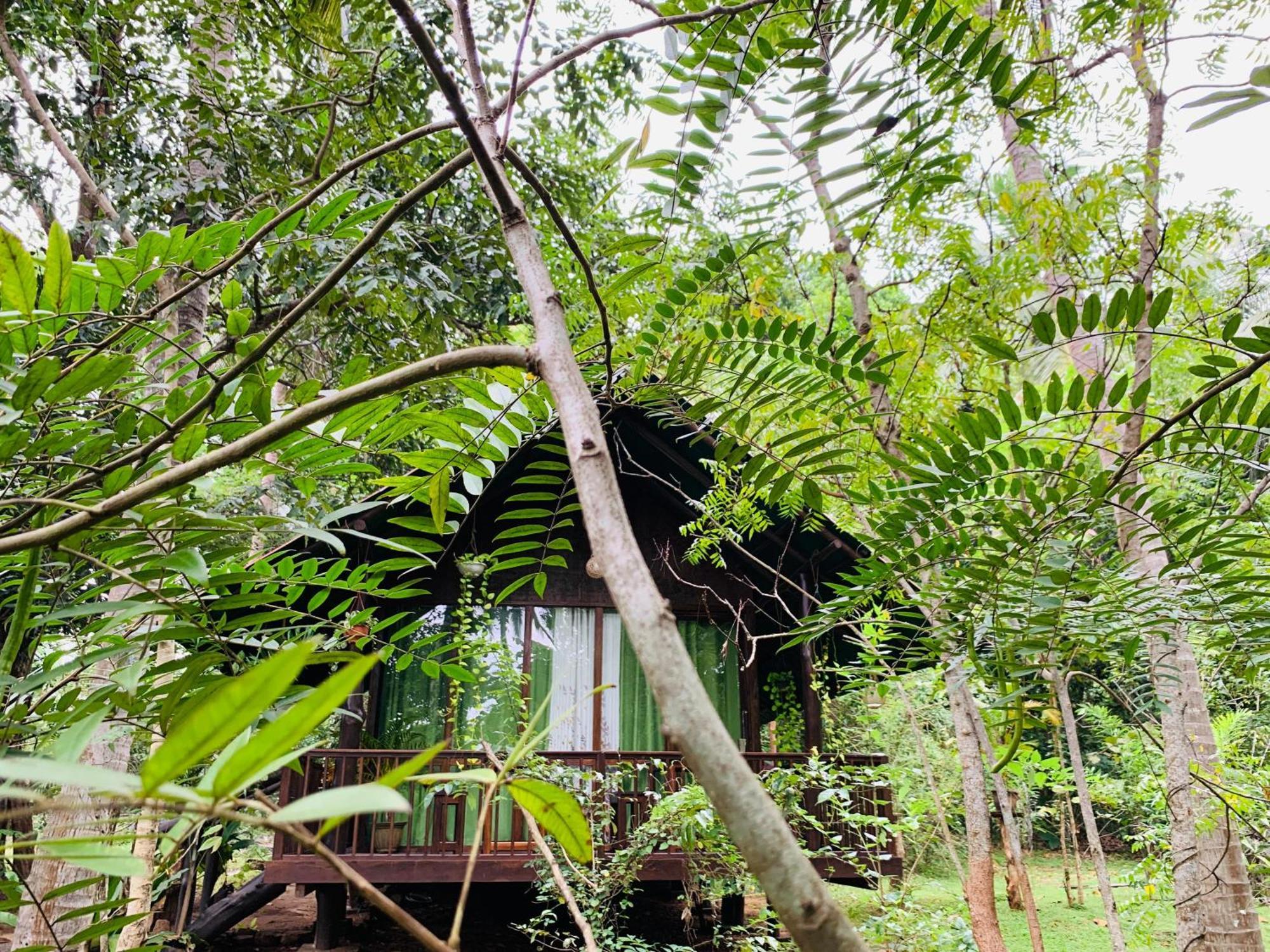 Coconut Tree House Hotell Udawalawe Exteriör bild