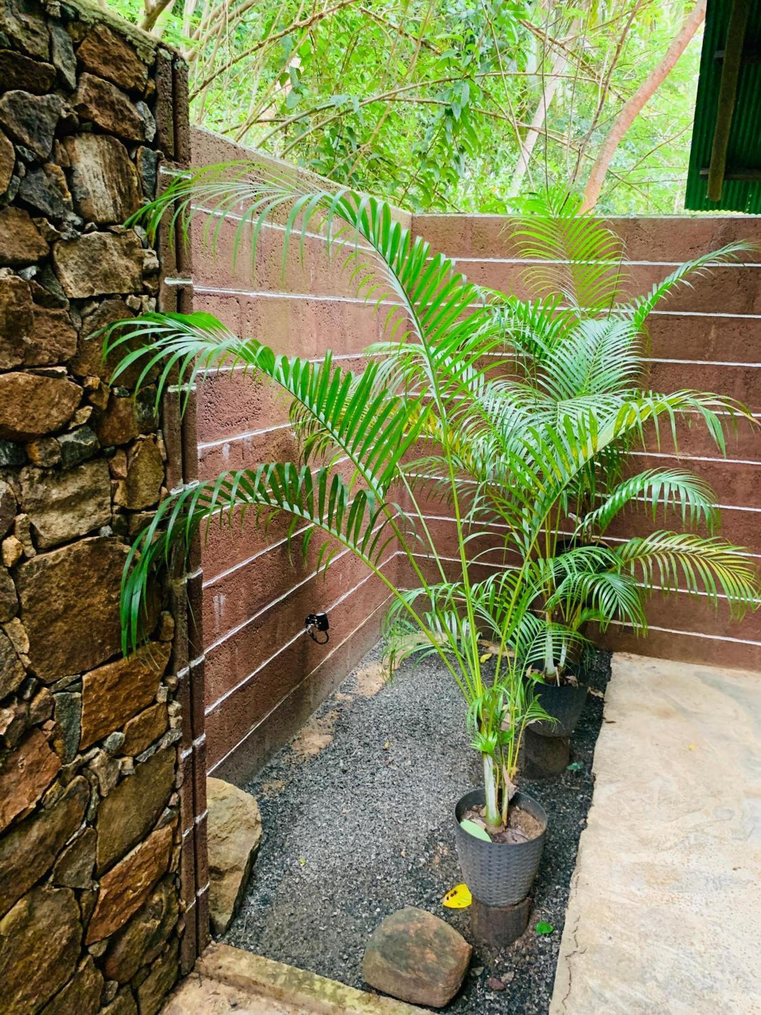 Coconut Tree House Hotell Udawalawe Exteriör bild